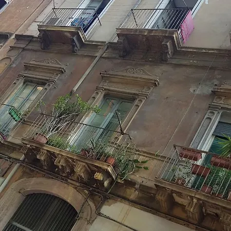 Loft *